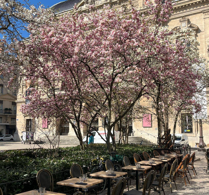 La Scène Brasserie 2